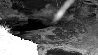 Still 3 from this detection