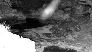 Still 1 from this detection