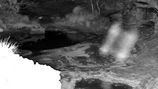 Still 2 from this detection
