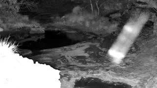 Still 3 from this detection
