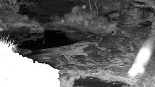 Still 1 from this detection