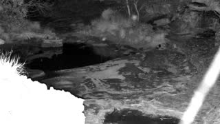 Still 2 from this detection