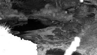Still 3 from this detection