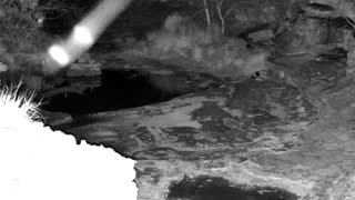 Still 1 from this detection