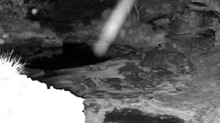 Still 2 from this detection