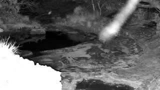 Still 2 from this detection