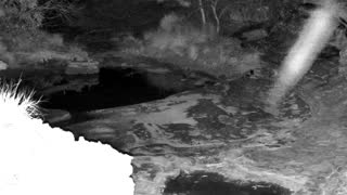 Still 3 from this detection