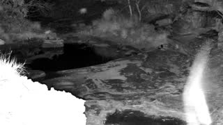 Still 1 from this detection