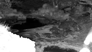 Still 3 from this detection