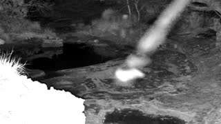 Still 1 from this detection