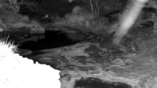 Still 2 from this detection