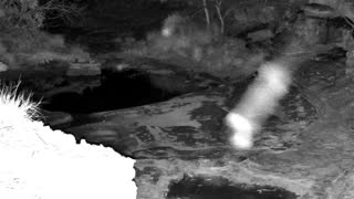 Still 3 from this detection