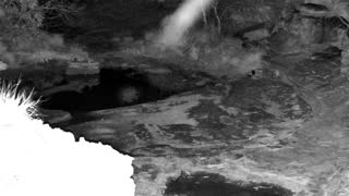 Still 1 from this detection