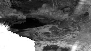 Still 2 from this detection