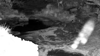 Still 3 from this detection