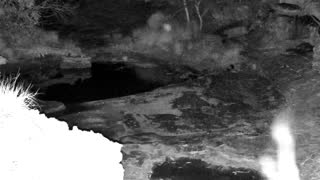 Still 3 from this detection