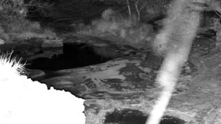 Still 1 from this detection