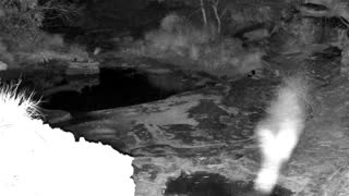 Still 3 from this detection
