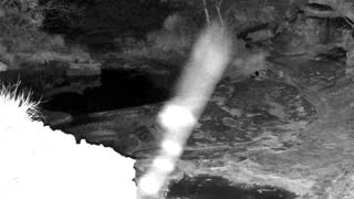 Still 1 from this detection