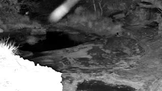 Still 2 from this detection