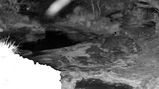 Still 2 from this detection