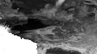 Still 1 from this detection