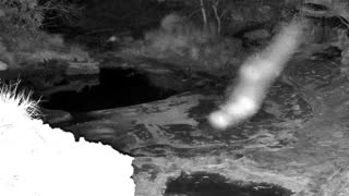 Still 2 from this detection