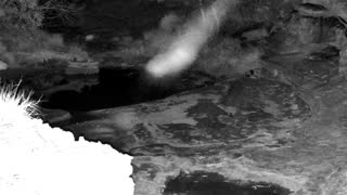 Still 1 from this detection