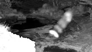 Still 2 from this detection