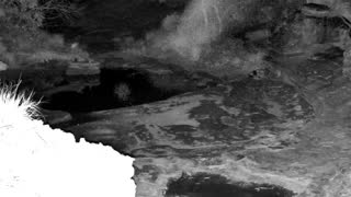 Still 2 from this detection