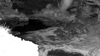 Still 2 from this detection