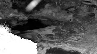 Still 3 from this detection