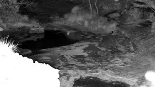 Still 1 from this detection