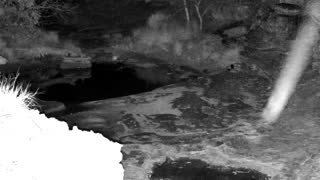 Still 2 from this detection