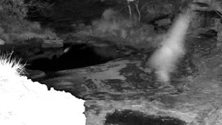 Still 1 from this detection