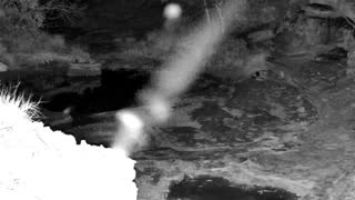 Still 3 from this detection