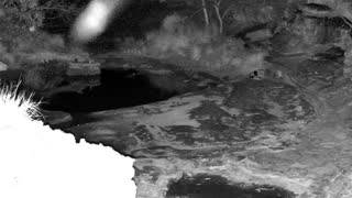 Still 1 from this detection