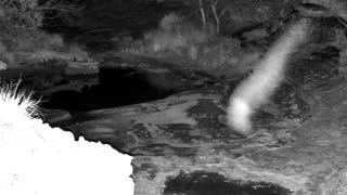 Still 3 from this detection