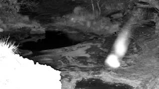 Still 1 from this detection
