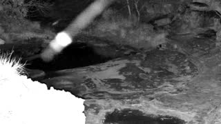 Still 3 from this detection