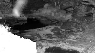 Still 1 from this detection