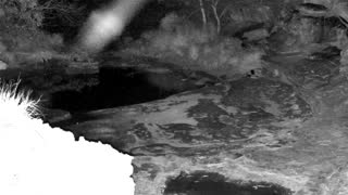 Still 2 from this detection