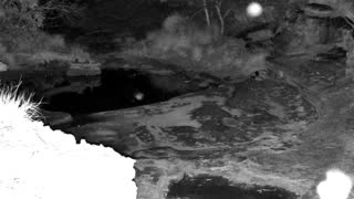 Still 1 from this detection