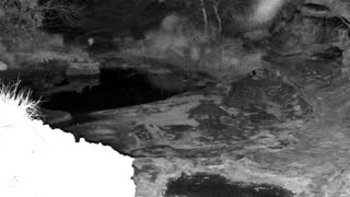 Still 2 from this detection