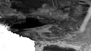 Still 3 from this detection