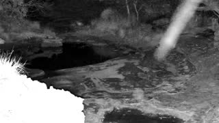 Still 2 from this detection