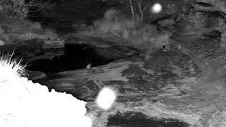 Still 3 from this detection