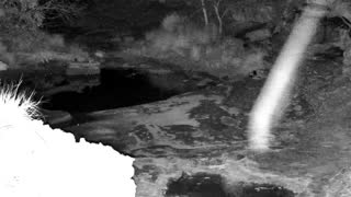 Still 1 from this detection