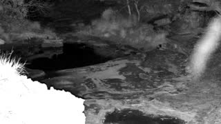 Still 3 from this detection
