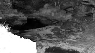 Still 1 from this detection